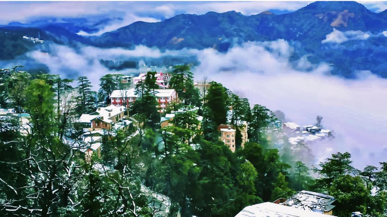 The Travelista Shimla Bed & Breakfast Exterior photo